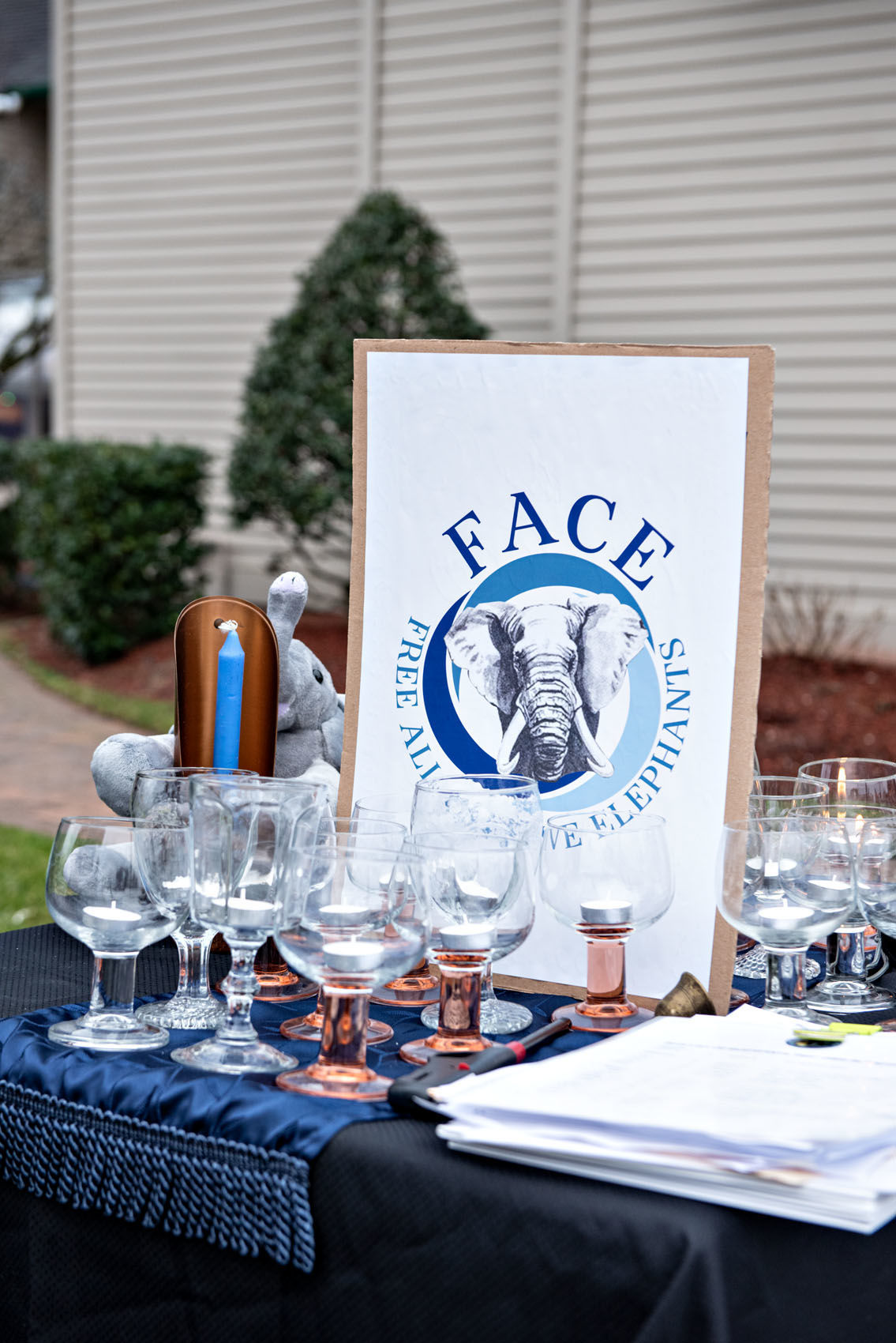 010520_nws_elephants